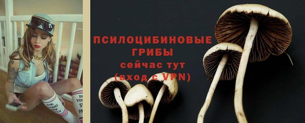 эйфоретик Арсеньев