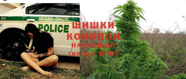 ECSTASY Новозыбков