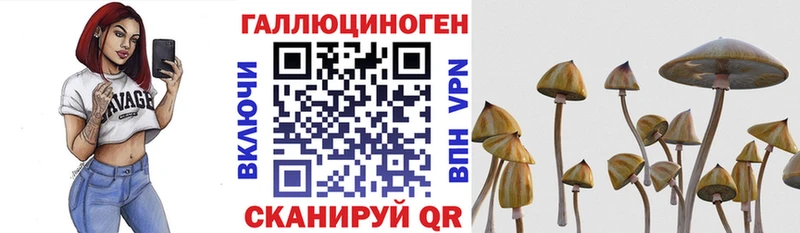 Галлюциногенные грибы GOLDEN TEACHER  Аткарск 