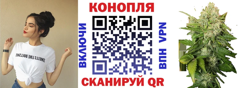 Каннабис OG Kush  KRAKEN tor  Аткарск  что такое  
